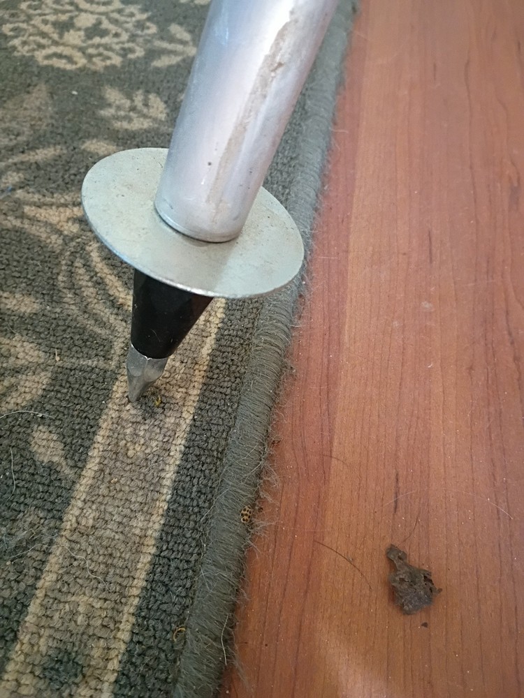 Northwest Surveying Prism Pole
