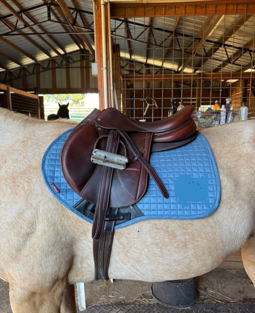 17.5” Arion Saddle