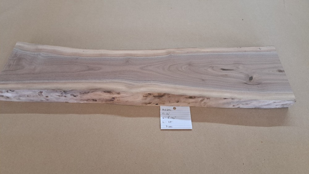 Live Edge Black Walnut Slab