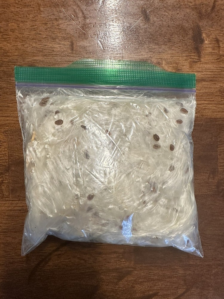 Milkweed Fluff Hunting Wind Direction 1/2 Oz