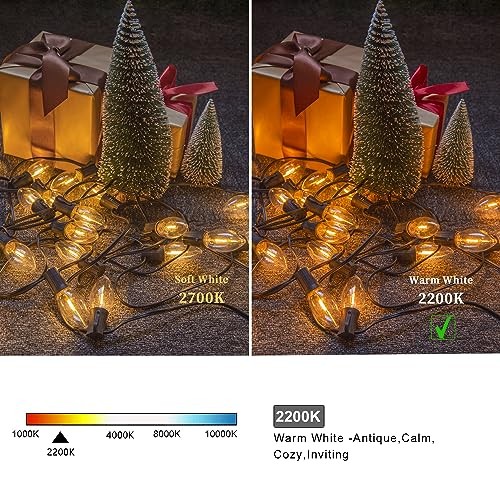 Waterproof C9 Replacement LED Light Bulbs –0.6W Equivalent C9 Plastic 2200k 50p