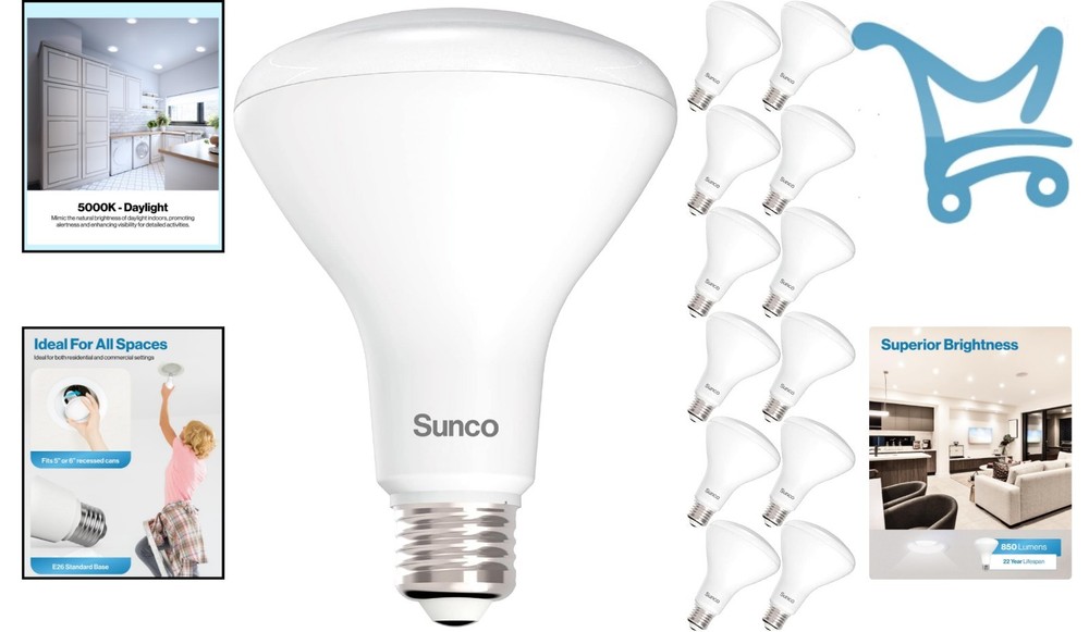 BR30 LED Bulb 12 Pack Recessed Can Light Flood Daylight White Dimmable