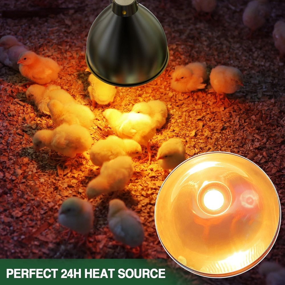 All-in-One Chick Brooder Kit with 75W Adjustable Heat Lamp, Spill-Proof Feede...