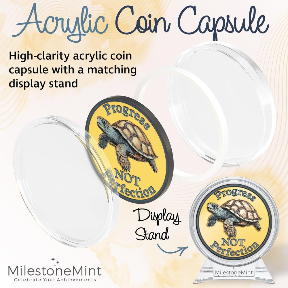 Affirmation Sobriety Coin Gift Set 3D Turtle Design Inspirational AA Chip