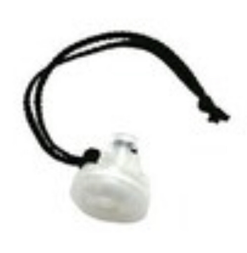 BW Technologies M5-AF-K2 Auxiliary pump filter