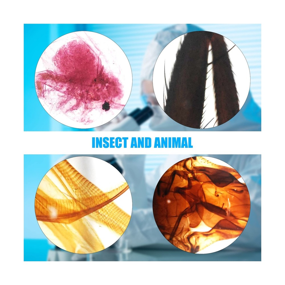 Microscope Slides, 100 Pcs Prepared Microscope Slides with Specimens for Kids...