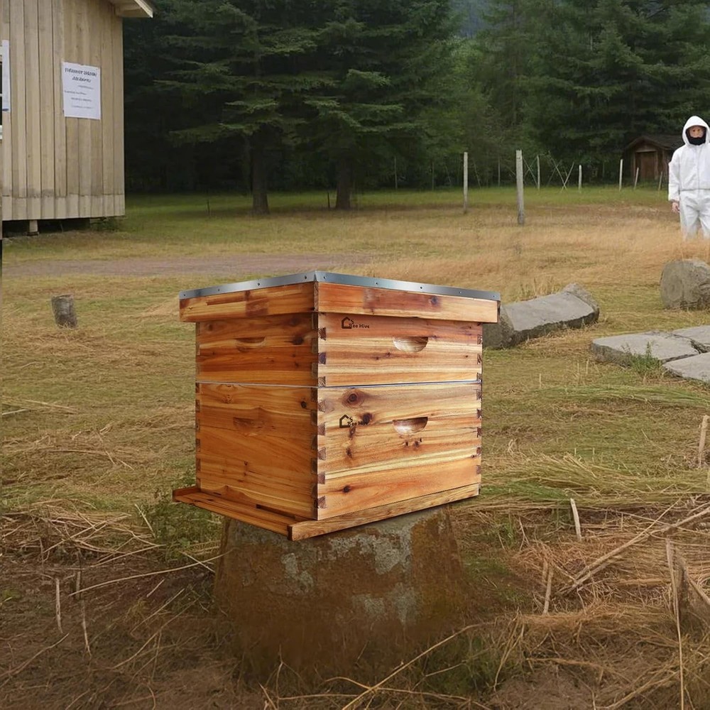 Langstroth Beehive Starter Kit - 20 Frame Box with 10 Deep & 10 Medium Frames