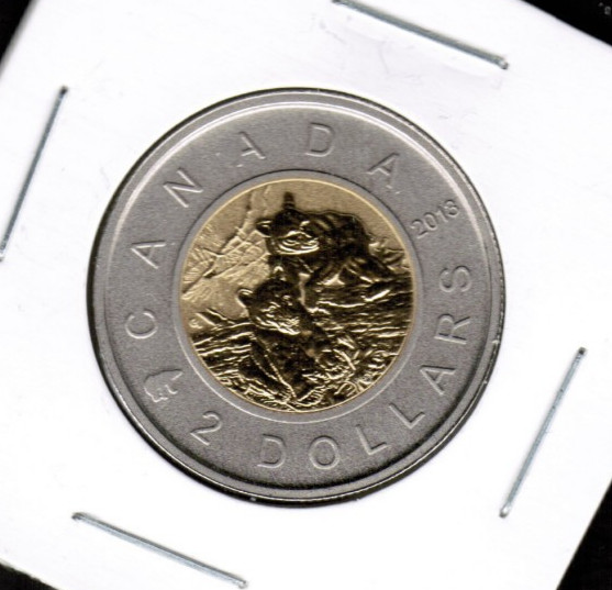 2013 Canada $2 Black Bear Cubs Specimen Gem UNC