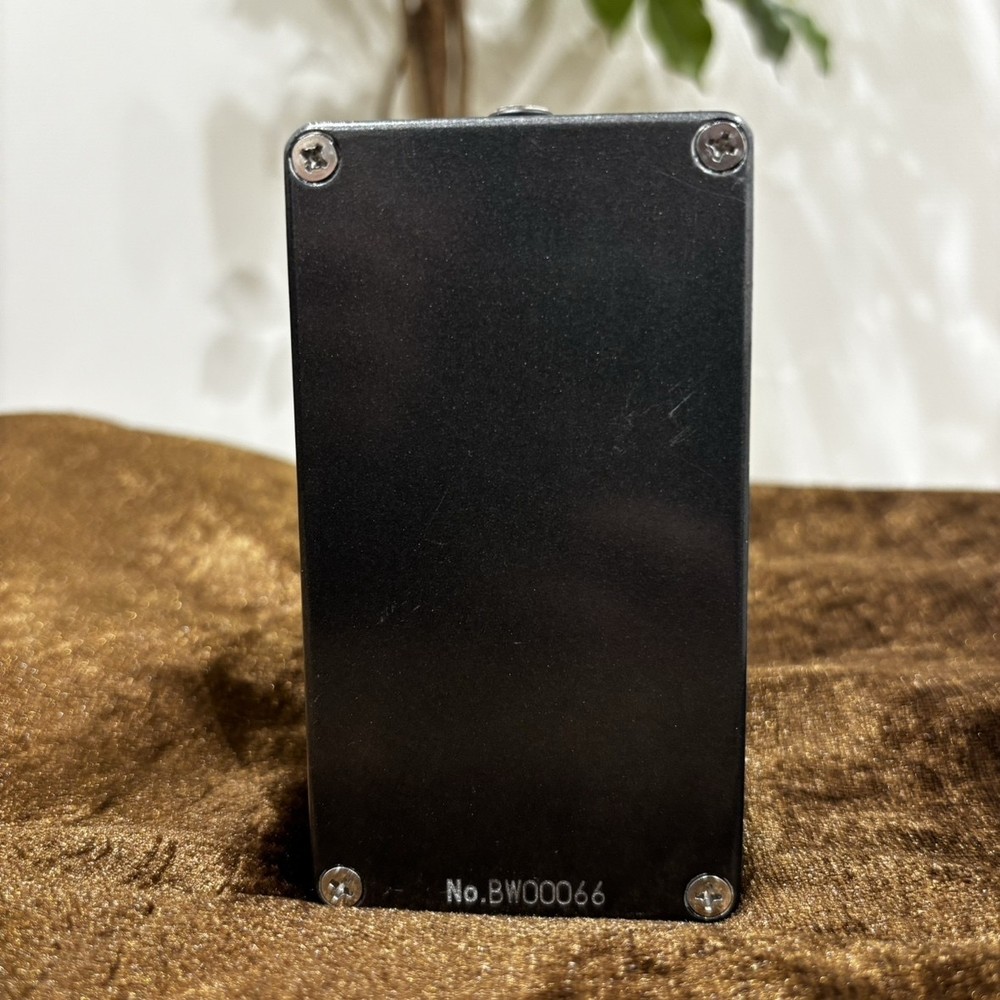 Things Beyond Bass Wired 376888