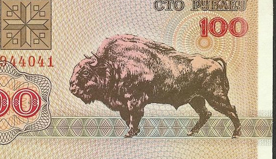 BELARUS  100 Rubles 1992 UNC  BUFFALO BULL  on back