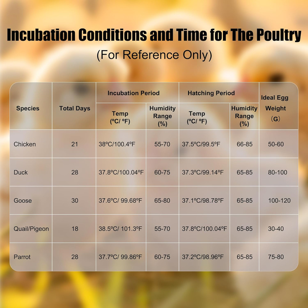12 Egg Incubator with Temperature Control, Humidity Display, Automatic Egg Turne