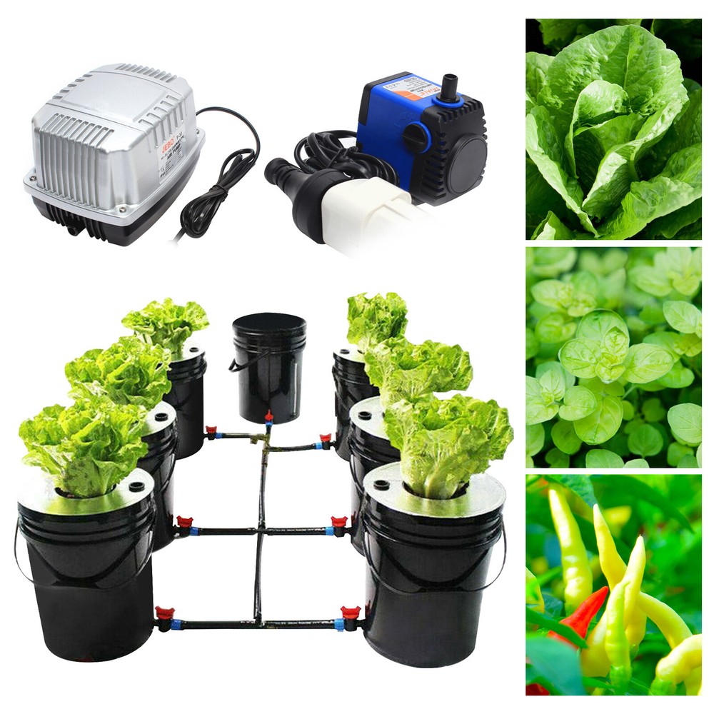 DWC 5 Gallon 6 Buckets Hydroponics Growing System Recirculating Growing Kit