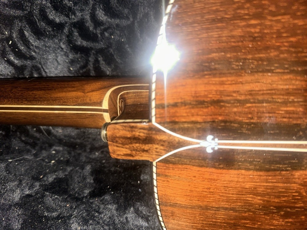 Washington Moretti 10 String Viola