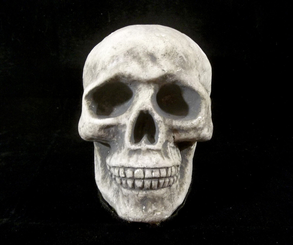 Halloween Styrofoam Skull with 3 Hook and Loop Fastener Strips