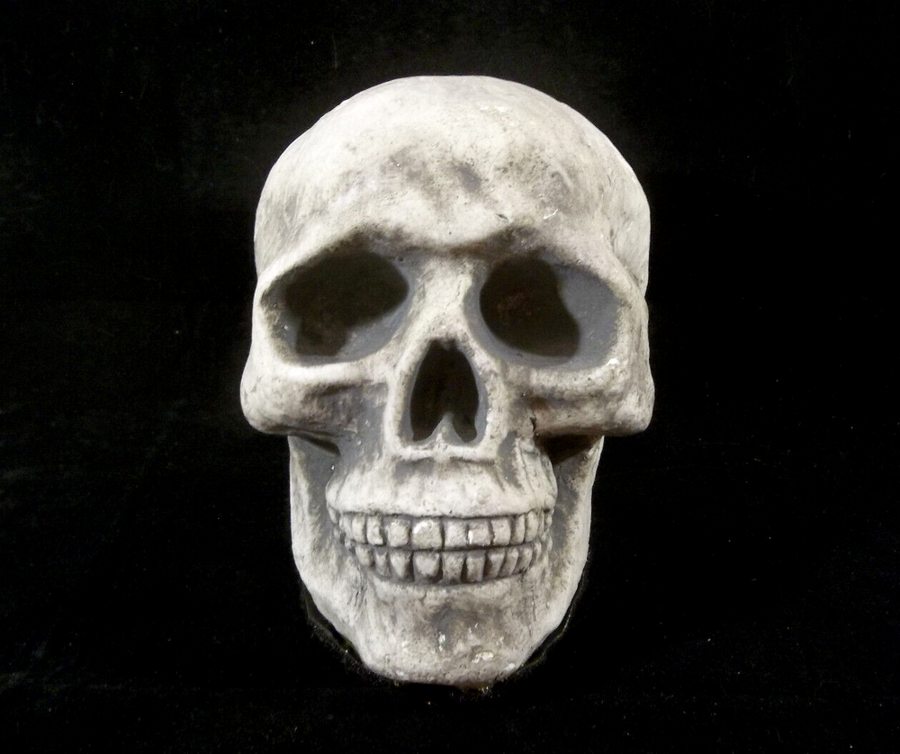 Halloween Styrofoam Skull with 3 Hook and Loop Fastener Strips