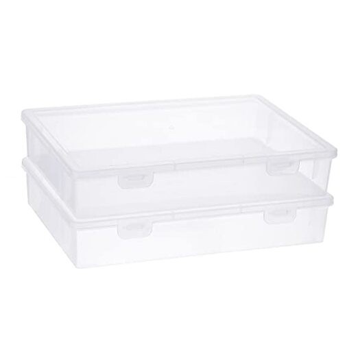 Clear Plastic Storage Box with Flap Lid, Multipurpose Craft Medium-2 Pack