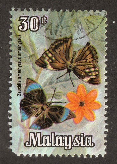 Malaysia         67           used