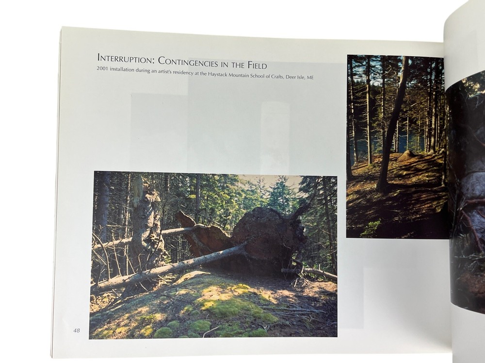 Winifred Lutz BETWEEN PERCEPTION & DEFINITION 2012 Work Art Exhibition Catalog