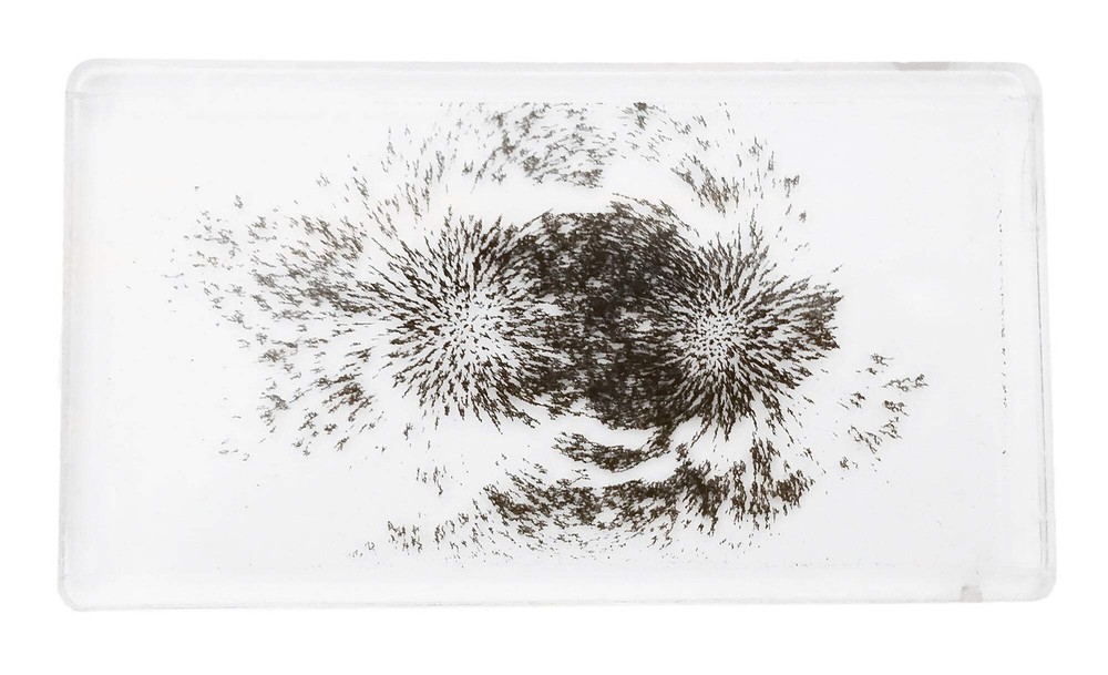 Magnetic Field Demonstration