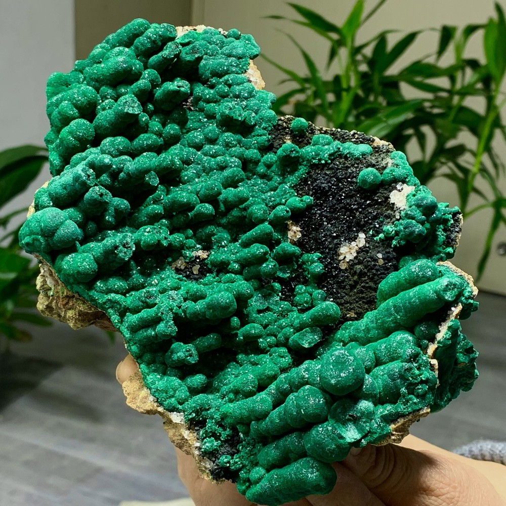 2.34LB Natural Malachite rysocolla transparent cluster rough mineral Sample