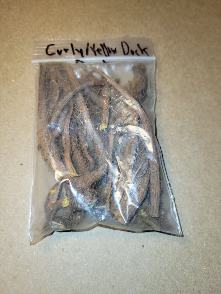 Yellow/curly Dock Root Magick Medicinal