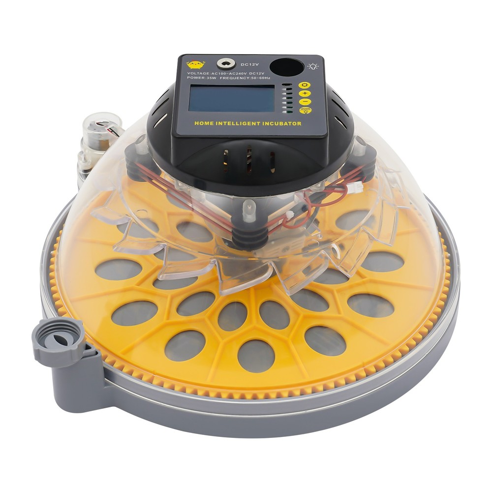 12 Eggs Incubator Egg Turning & Humidity Control Automatic For Hatching Eggs