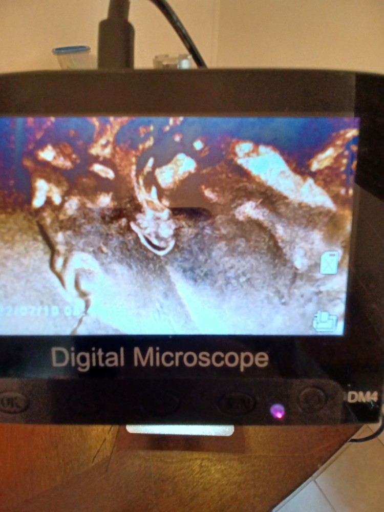 2022D RED CENT ERRORS DOUBLE STAMPED FRONT AND BACK