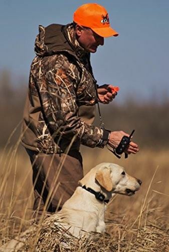 DT Systems R.A.P.T 1400 Remote Control Dog Training Collar System