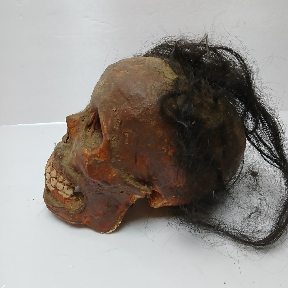 Screen Used Prop Skull From The Gateway Meat By Ron DeCaro