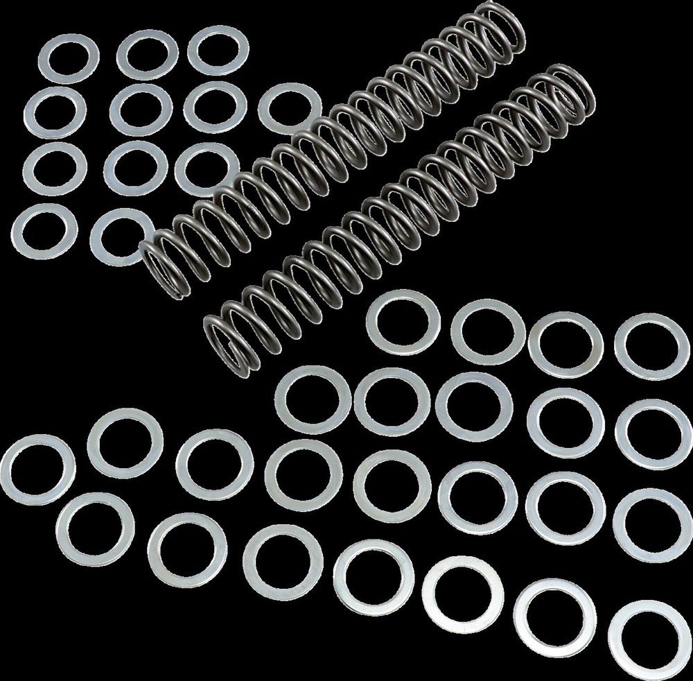 Race Tech Fork Springs 1.0 KG/MM FRSP S3825100