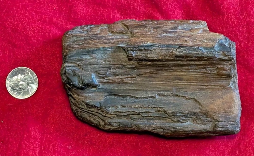 2 Lb Petrified Wood