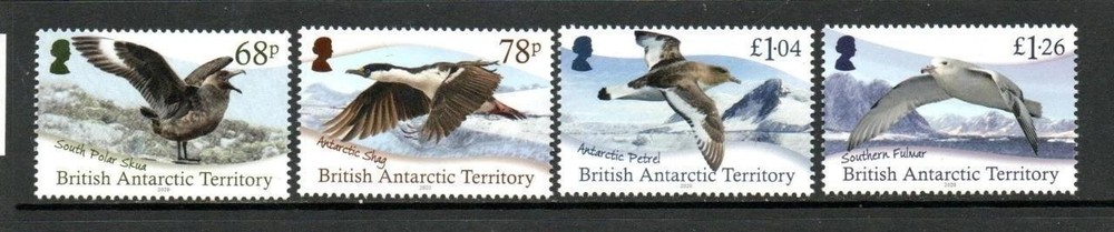BAT MNH 2020 Antarctic Birds