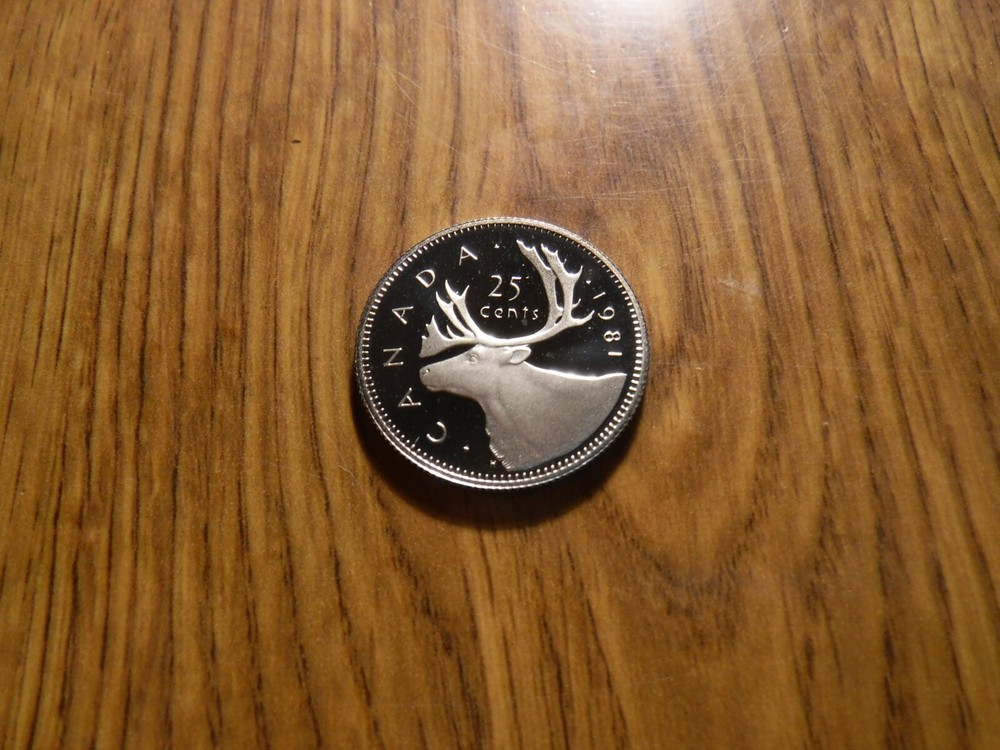 CANADA 25 CENT 1981 PROOF COIN (108CA)