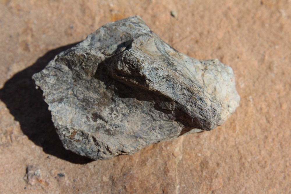 Dinosaur Bone, Lab Grade, Medium Bones, 2.5" to 3.25"