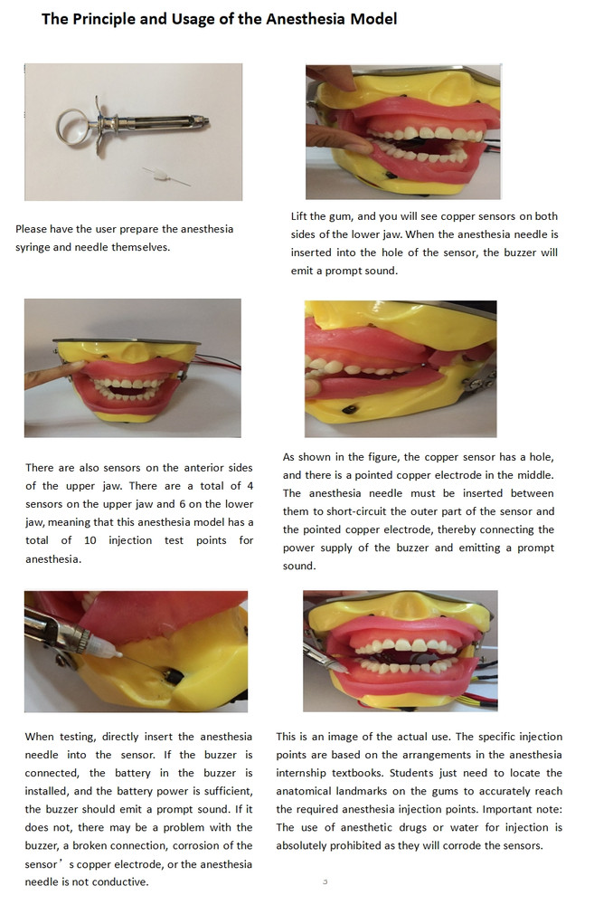 Dental Anesthesia Tooth Extraction/Removal Practice Model Dentist Training