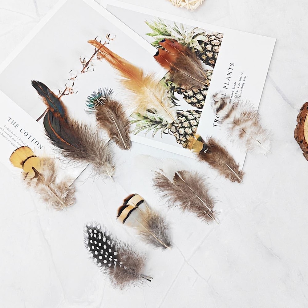 200pcs 10 Style Natural Feathers Assorted Mixed 10 Styles - 200 Pcs