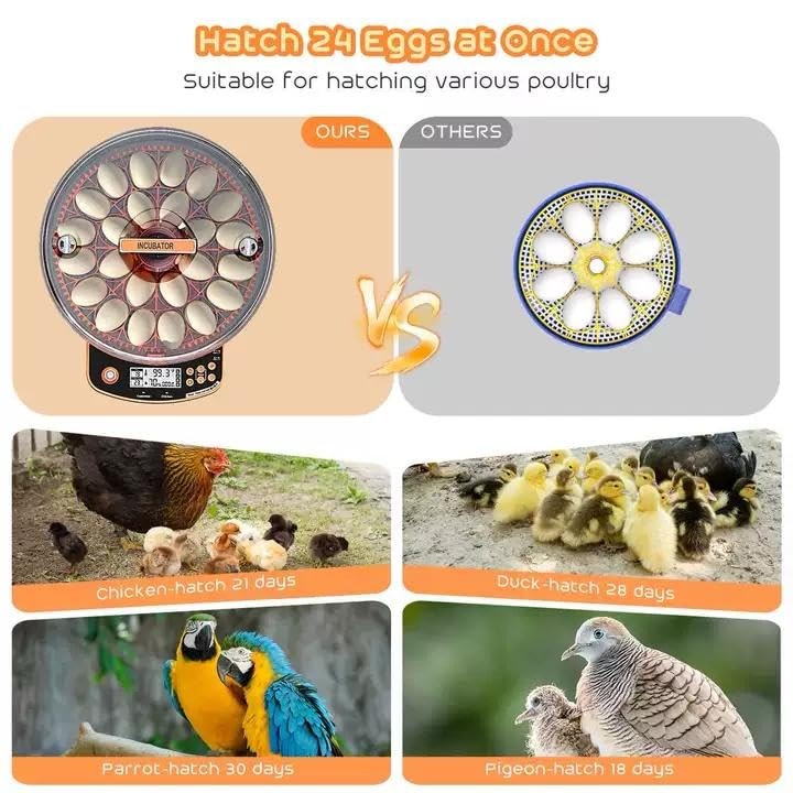 AsFrost Automatic Incubators for Hatching Eggs, 24 Egg 24, Orange