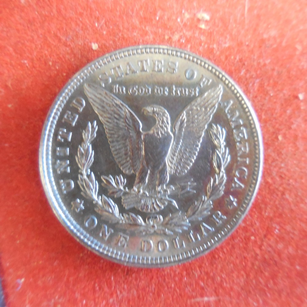 1921 Morgan Silver Dollar - Toning