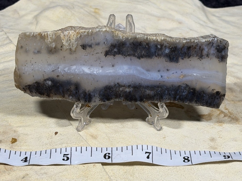 Snake River Dendritic Agate Slab, Lot #277