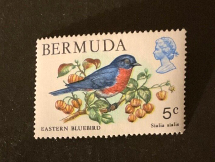 Stamps Bermuda #365 never hinged