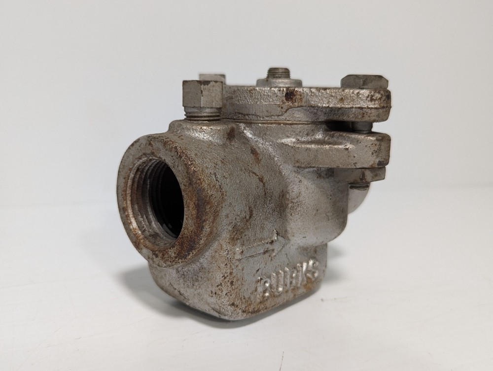 Burks 8613 Check Valve