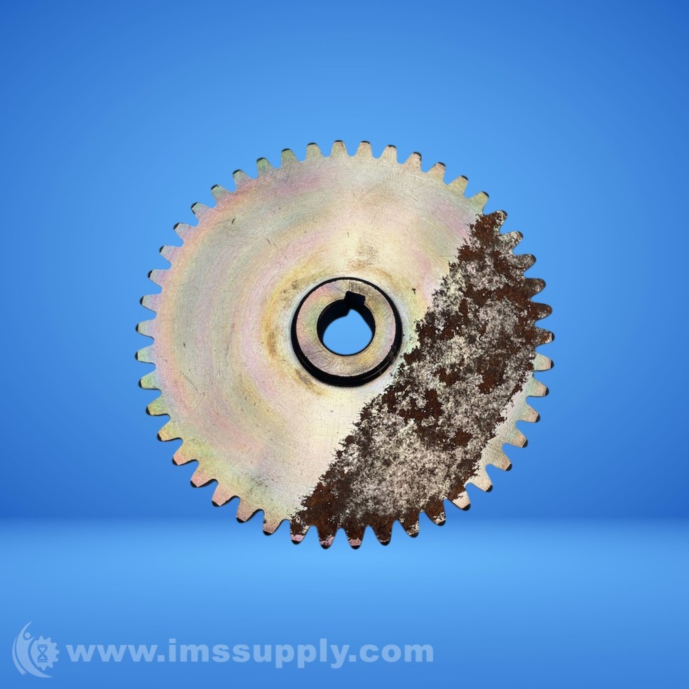 Spur Gear USIP