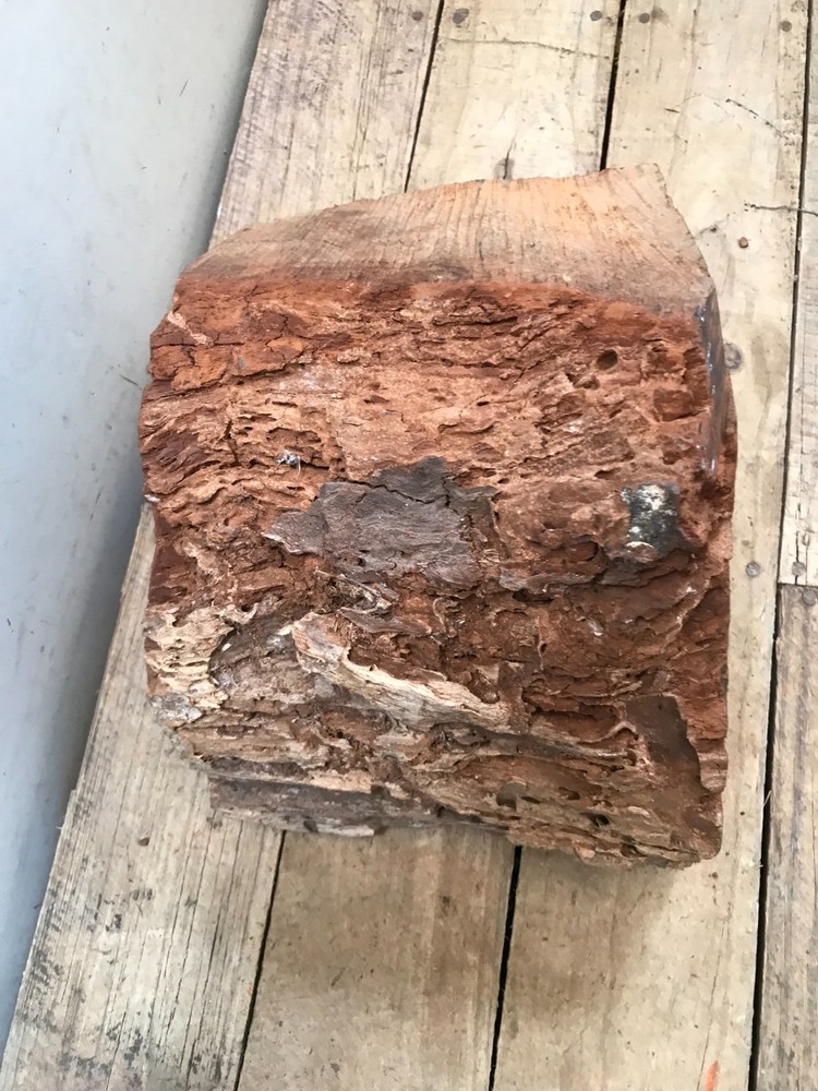 Black Walnut Weathered Block Lathe Turning Carving Chunk