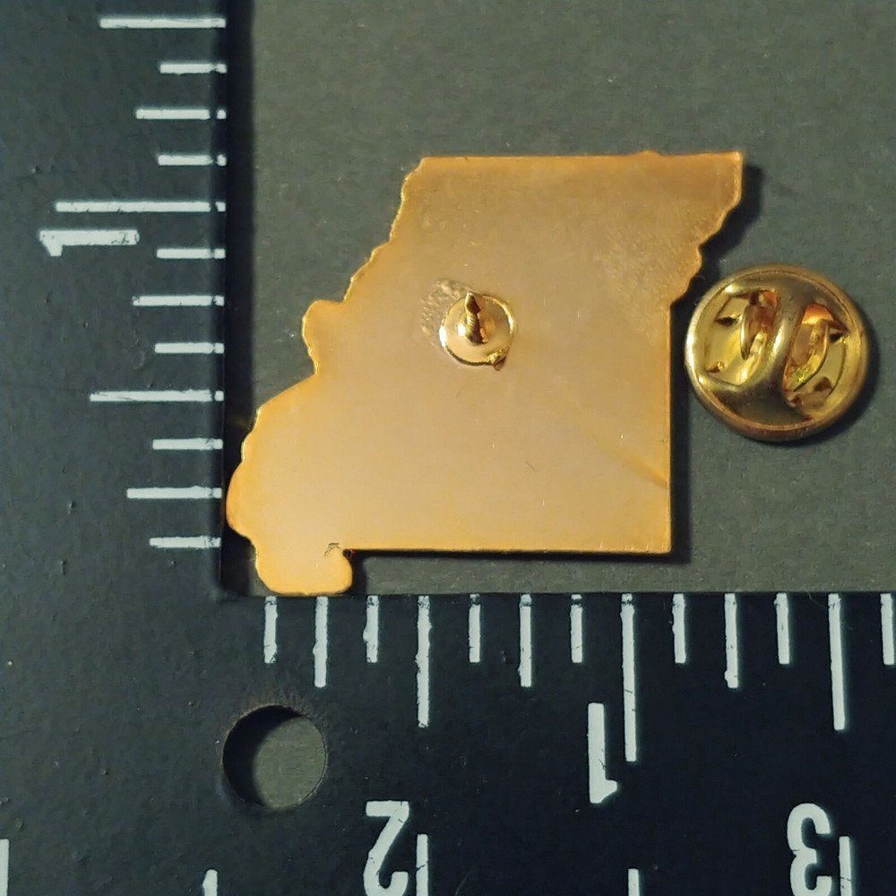 MISSOURI State Map Outline Pin - MO Eastern Bluebird