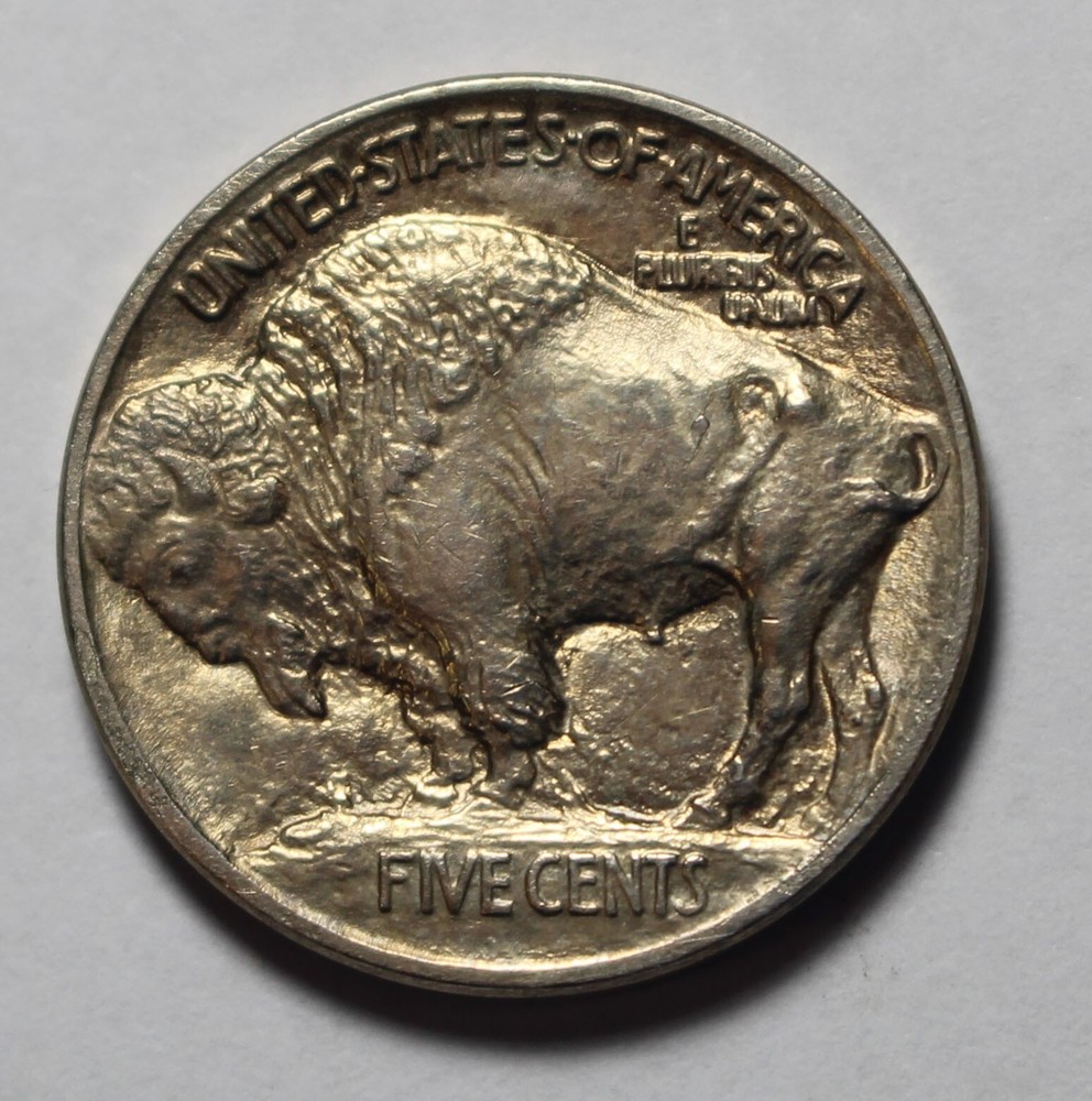1913 Type 1 Buffalo Nickel UR449