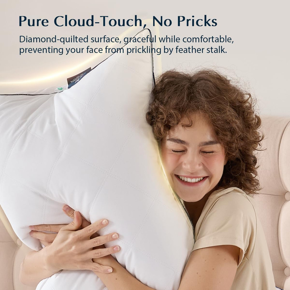 Pacific Coast Premium Goose Feather & down Bed Pillows Standard Size 2-Pack, Hot