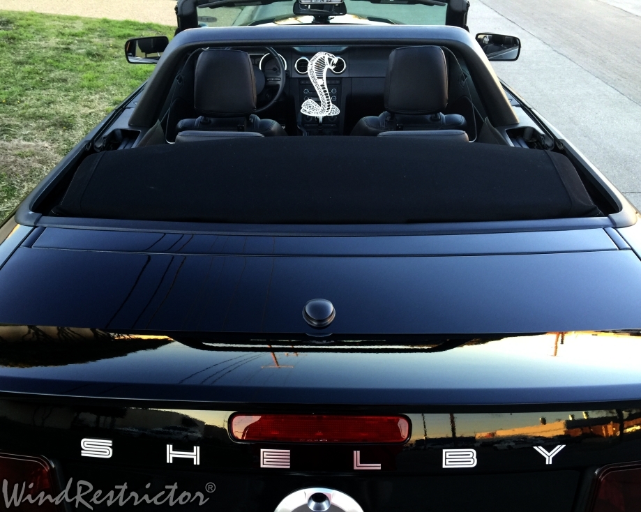 NEW Ford Mustang 2005-2014 WIND RESTRICTOR wind blocker LED Lighted Accessory