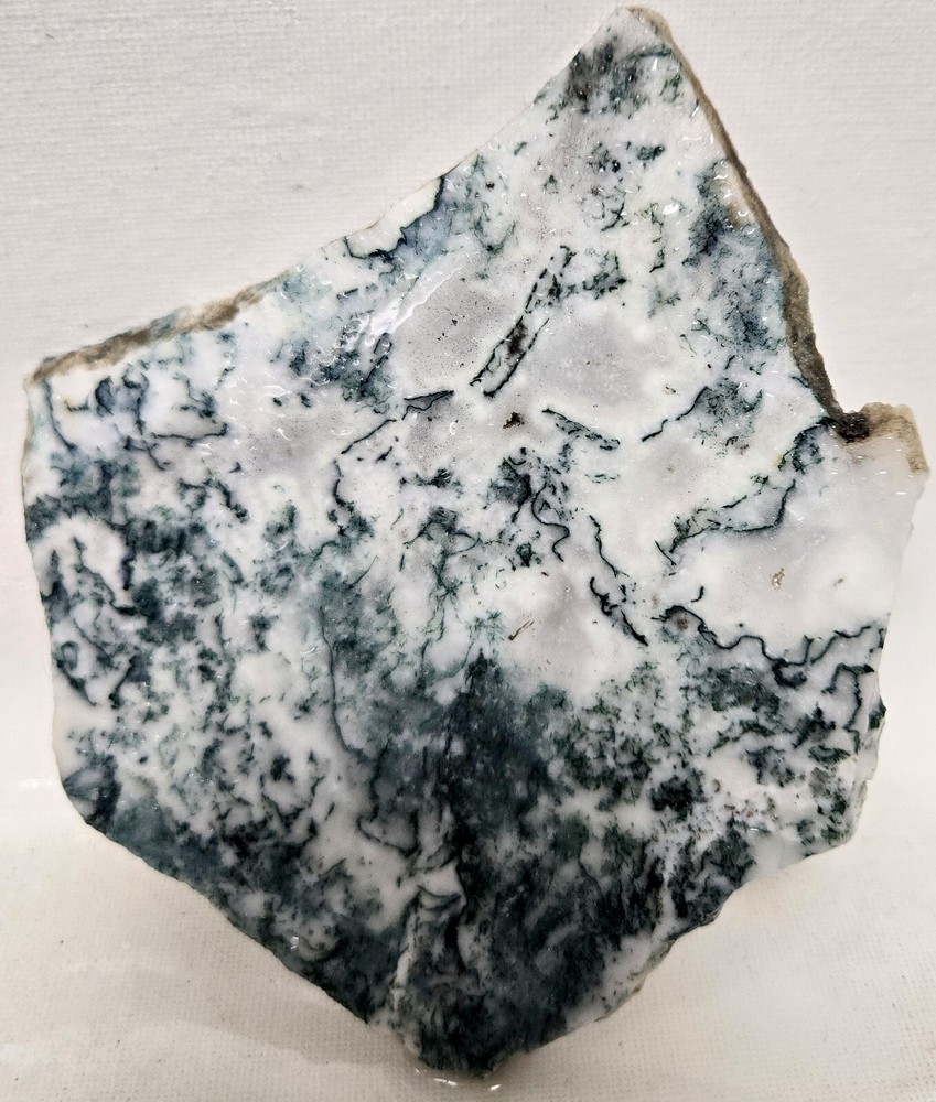 Tea Tree Jasper Agate 156gm Gem Lapidary Cabbing Slab