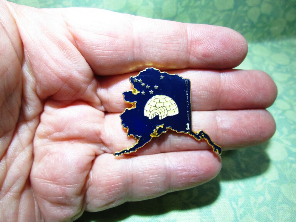 District 1 Lapel Pin - Alaska State Map Outline - Igloo - Enameled / H