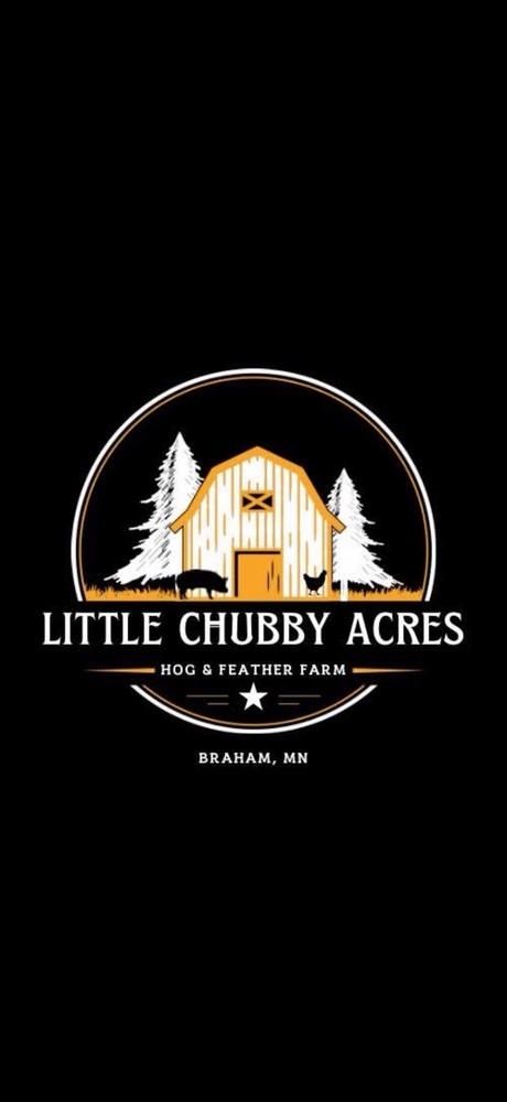 8 Royal Palm Hatching Eggs